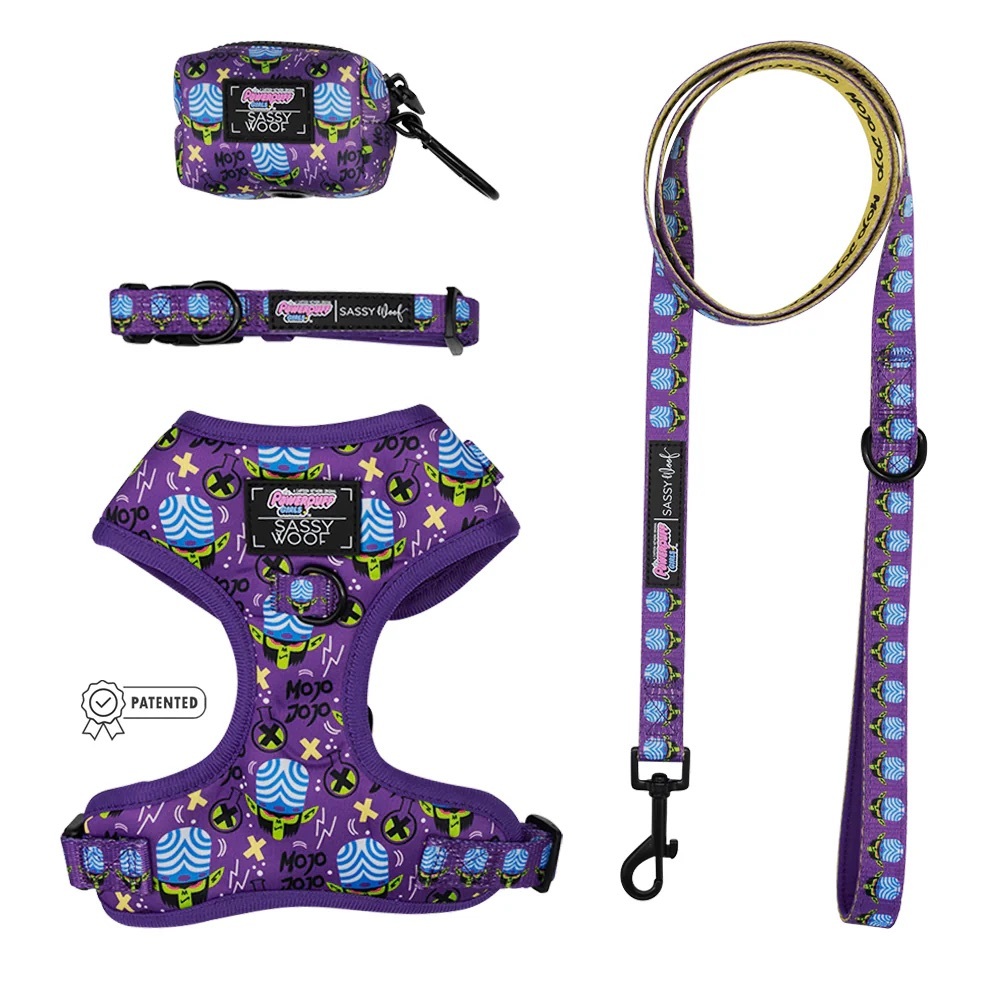 sassy woof  Harness and Leash Set